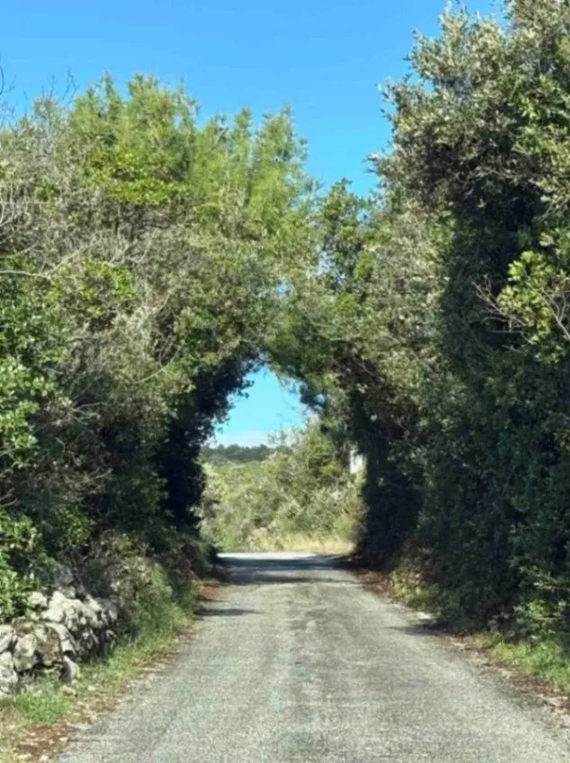 Prodaja, kuća, 132m², Zagora, Kotor