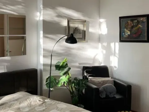 Izdavanje, dvosoban stan, 50m², Čubura, Beograd - image 10