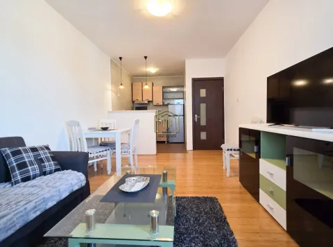 Rent, one bedroom apartment, 42m², Zabjelo, Podgorica - image 11