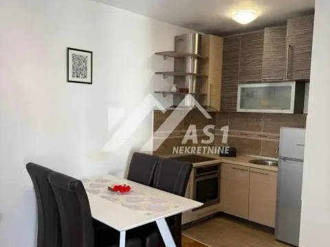 Izdavanje, dvosoban stan, 50m², Novi Sad Sve Podlokacije, Novi Sad - image 2