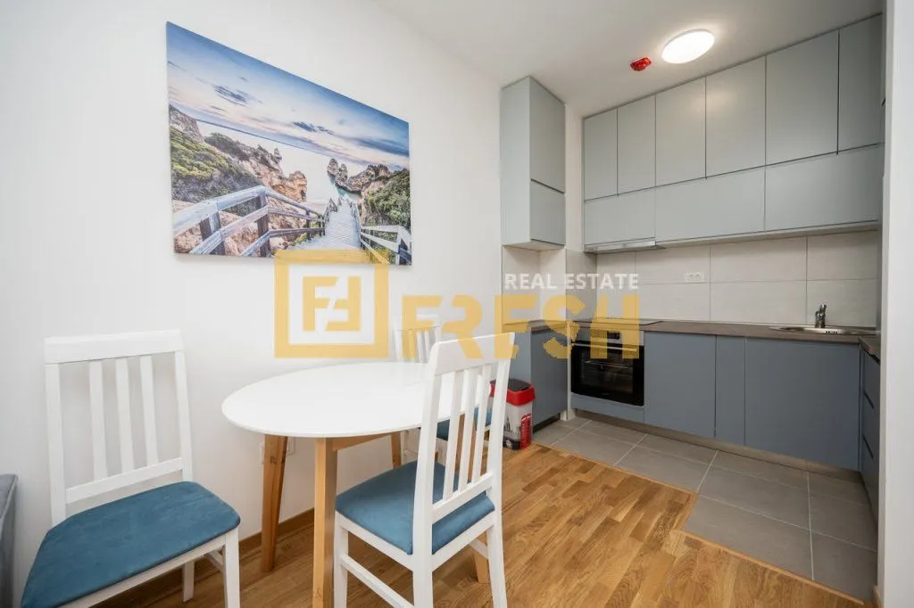 Rent, one bedroom apartment, 42m², Zagorič, Podgorica