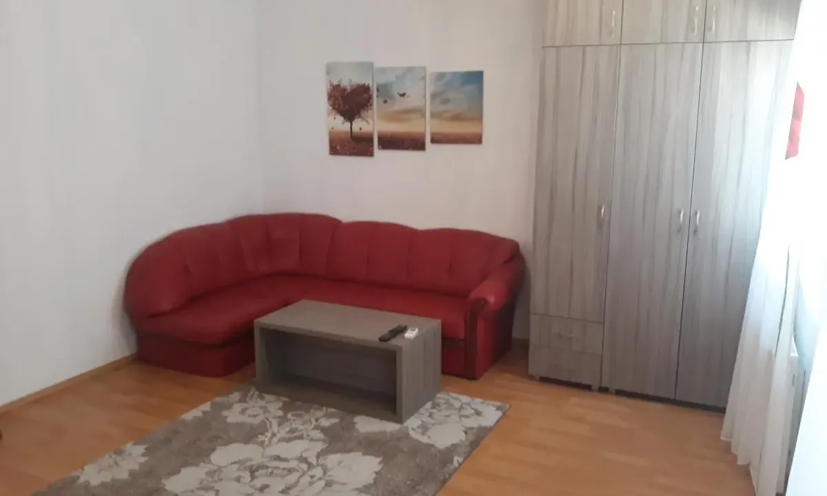Rent, one bedroom apartment, 32m², Bulevar patrijarha Pavla, Novi Sad Sve Podlokacije