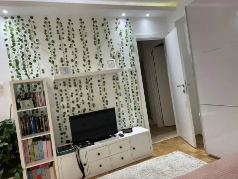 Izdavanje, četvorosoban stan, 100m², Vračar Sve Podlokacije, Beograd - image 9