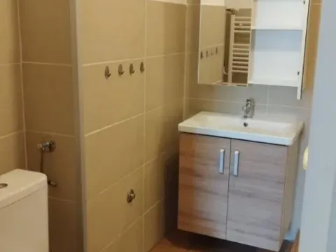 Izdavanje, dvosoban stan, 50m², Bulevar Oslobodjenja, Novi Sad Sve Podlokacije - image 15