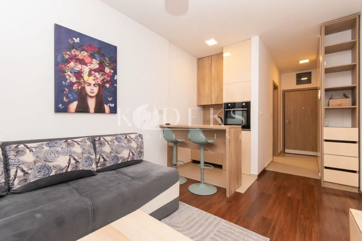 Rent, studio apartment, 25m², Master Kvart, Podgorica