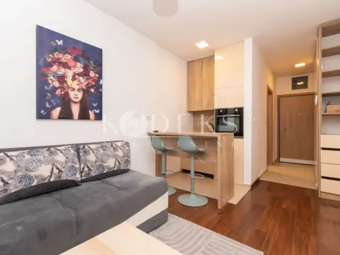 Rent, studio apartment, 25m², Master Kvart, Podgorica - image 4