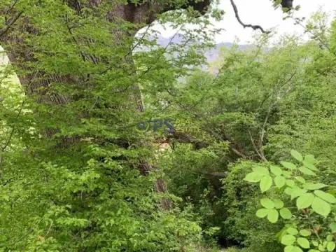 Prodaja, plac, 7000m², Bar, Crna Gora - image 3