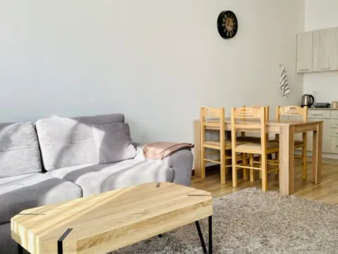 Izdavanje, jednosoban stan, 46m², Ulcinjsko Polje, Ulcinj - image 7