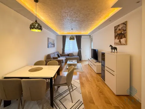 Izdavanje, jednosoban stan, 49m², Central Point, Podgorica - image 4