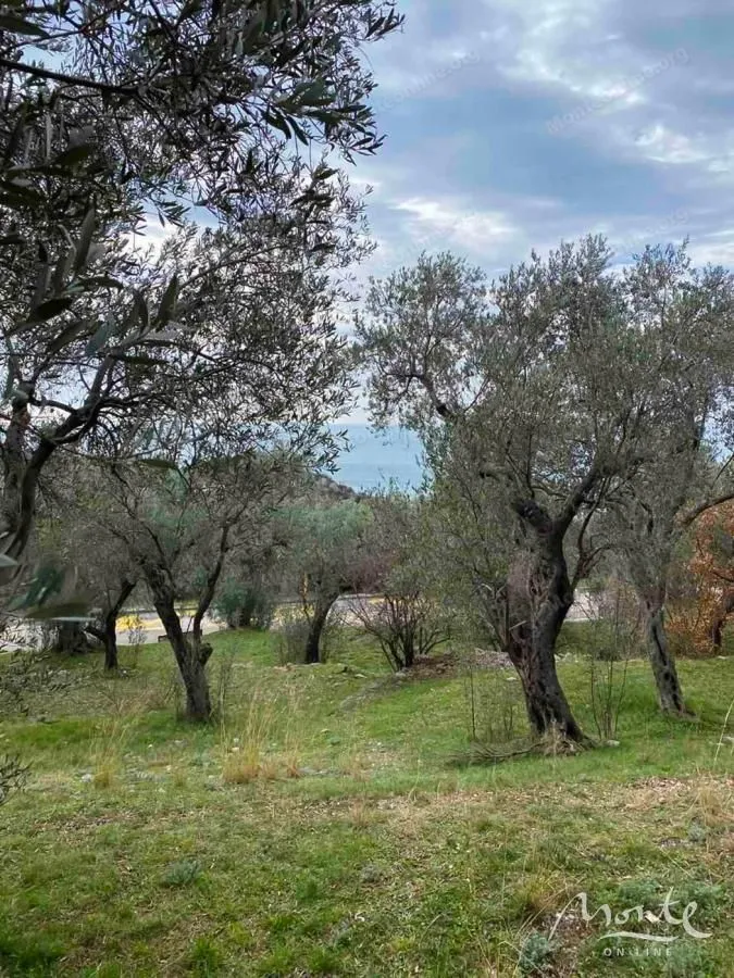 Prodaja, plac, 1650m², Reževići, Budva