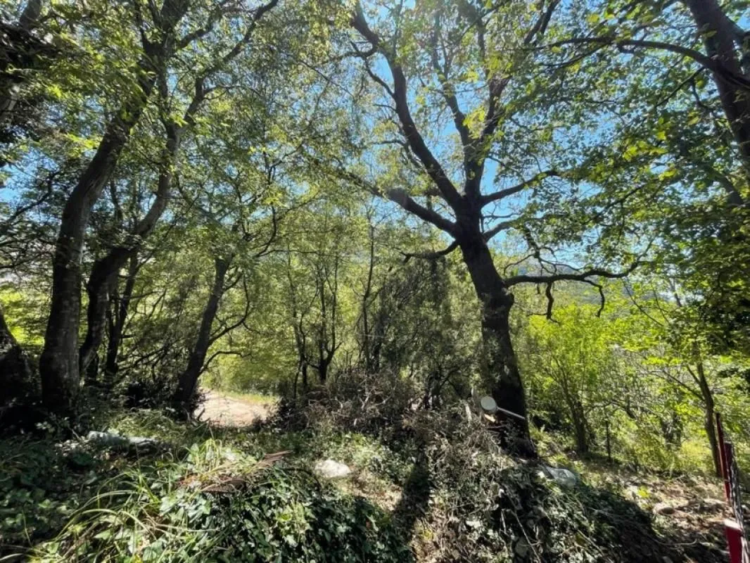 Prodaja, kuća, 63m², Sutomore, Bar