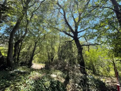 Sale, house, 63m², Sutomore, Bar - image 5