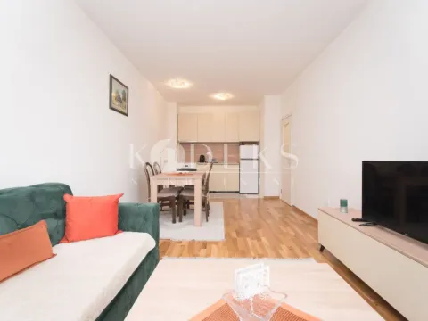 Izdavanje, jednosoban stan, 48m², Stari Aerodrom, Podgorica - image 3