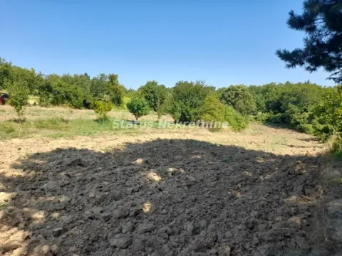 Prodaja, plac, 1500m², Inđija, Srbija - image 2