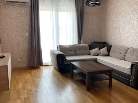 Izdavanje, jednosoban stan, 50m², Ljubović, Podgorica - image 6