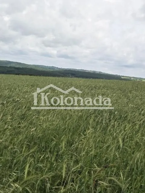Prodaja, plac, 6100m², Dučina, Sopot