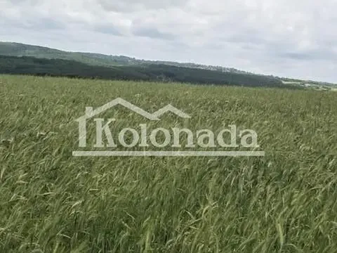 Sale, land lot, 6100m², Dučina, Sopot - image 4