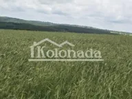 Prodaja, plac, Dučina, Sopot - image 4