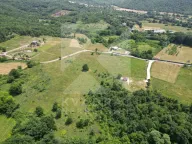 Prodaja, plac, 13849m², Pričelje, Podgorica - image 5