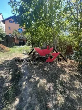 Dvorište sa zelenilom i pogledom na kuću. - image 9