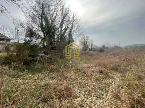 Pogled na zarasli plac sa drvećem i rastinjem. - image 7