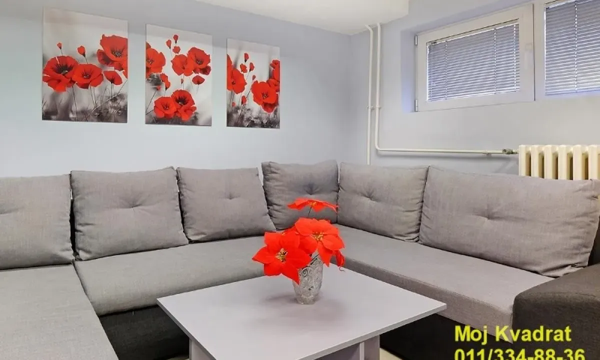 Sale, two bedroom apartment, 50m², Vračar Sve Podlokacije, Beograd