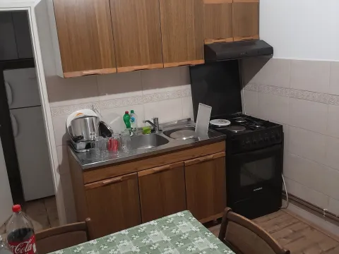 Sale, house, 214m², Veternik, Novi Sad Sve Podlokacije - image 13