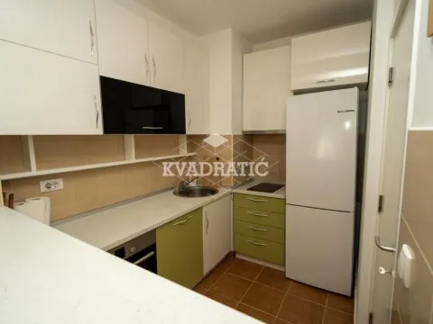 Izdavanje, dvosoban stan, 42m², Novi Beograd Blok 72, Novi Beograd Sve Podlokacije - image 7