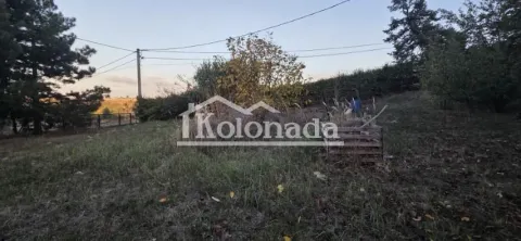 Pogled na plac sa travom i drvećem. - image 4