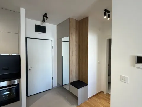 Izdavanje, jednosoban stan, 50m², Stari Aerodrom, Podgorica - image 10