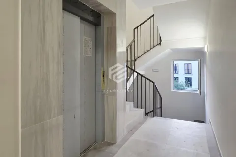 Rent, one bedroom apartment, 34m², Zabjelo, Podgorica - image 18