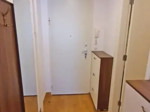 Izdavanje, dvosoban stan, 45m², Novi Beograd Blok 67, Novi Beograd Sve Podlokacije - image 7