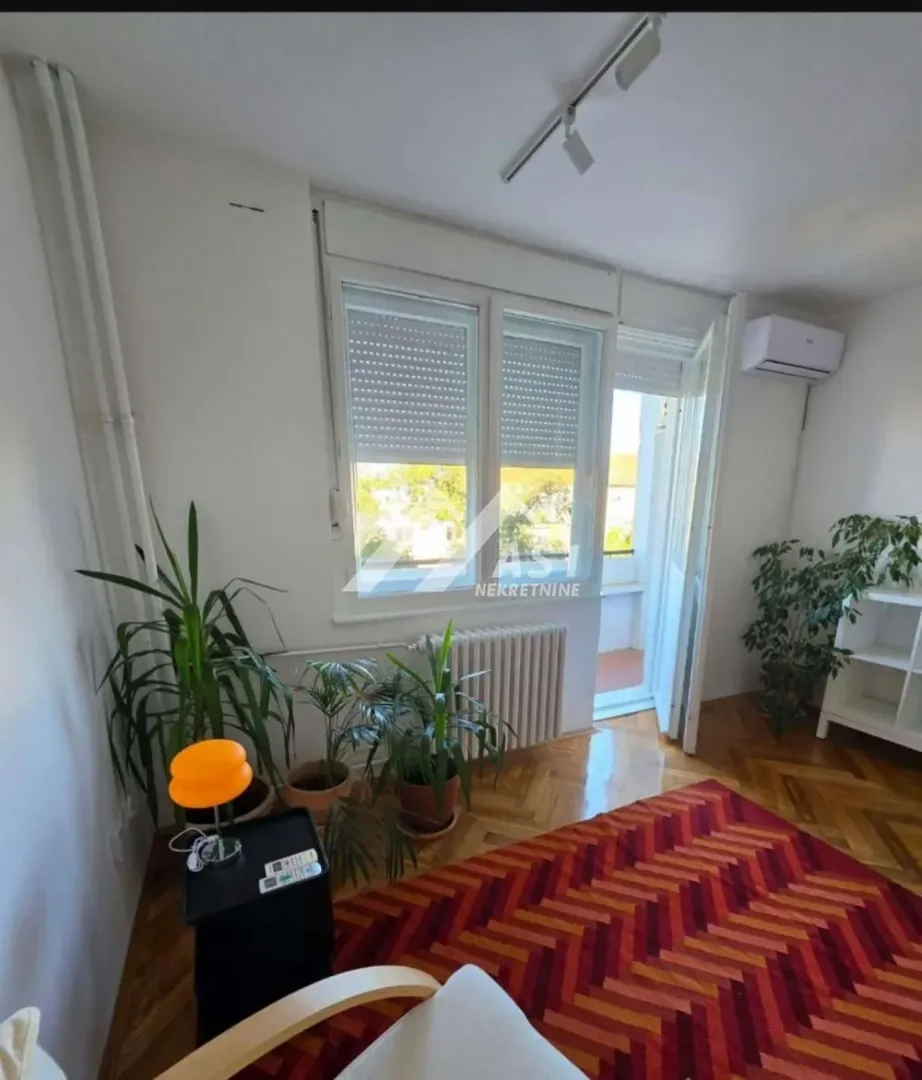 Dnevna soba sa parketom, tepihom, sobnim biljkama i izlazom na balkon.