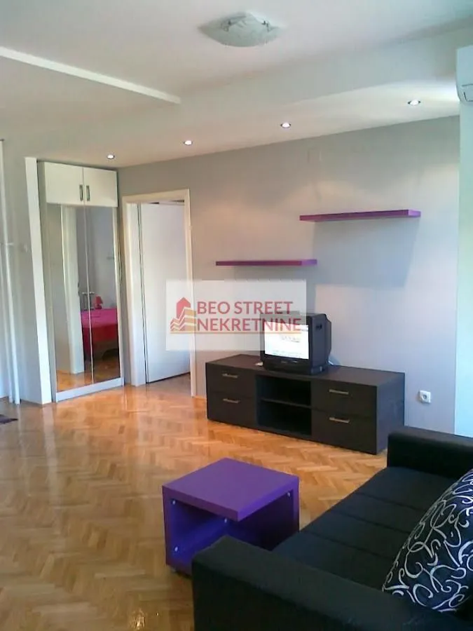 Izdavanje, dvosoban stan, 45m², Vračar Centar, Vračar Sve Podlokacije