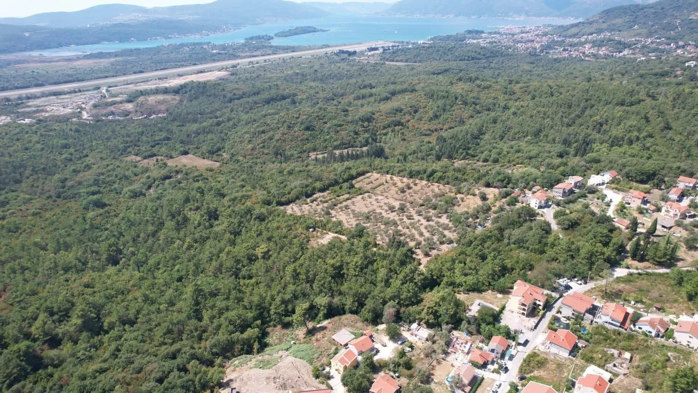 Prodaja, plac, 7700m², Kavač, Kotor