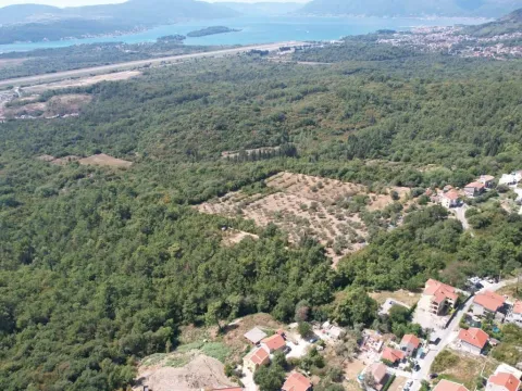 Sale, land lot, 7700m², Kavač, Kotor - image 3