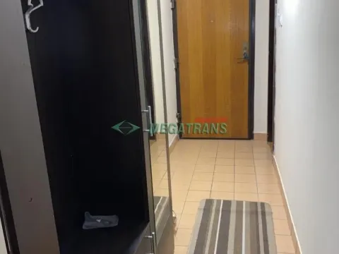 Izdavanje, dvosoban stan, 46m², Centar, Novi Sad - image 11