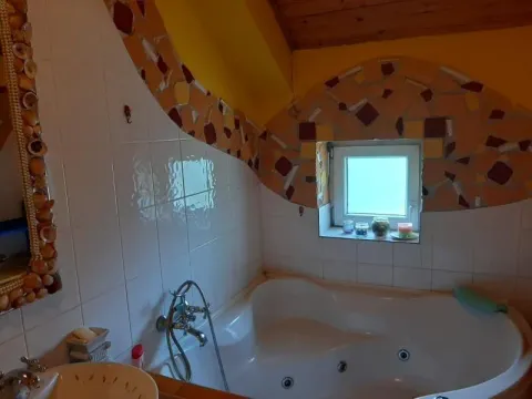 Prodaja, kuća, 587m², Sremska Kamenica, Petrovaradin - image 33