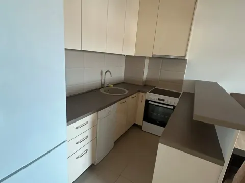 Izdavanje, jednosoban stan, 48m², Tuški Put, Podgorica - image 7