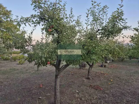 Prodaja, plac, 27920m², Siokovac, Jagodina - image 14