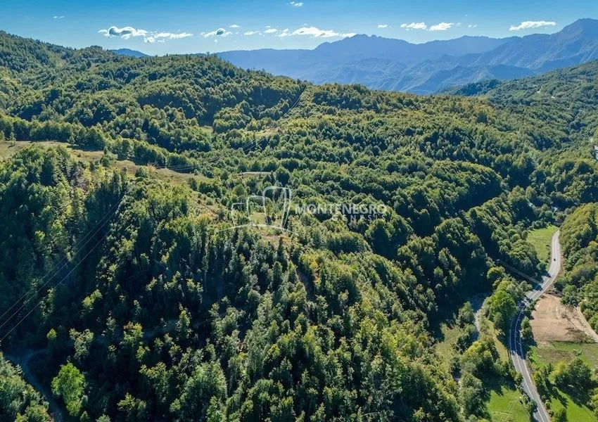Sale, land lot, 140000m², Crkvine, Kolašin