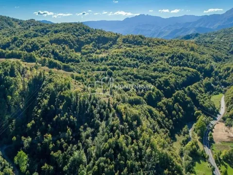 Prodaja, plac, 140000m², Crkvine, Kolašin - image 9