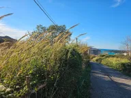 Sale, land lot, 1574m², Bečići, Budva - image 8