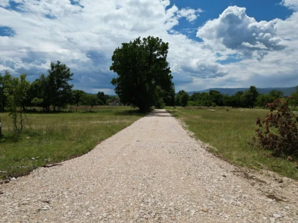 Prodaja, plac, 8000m², Donji Martinići, Danilovgrad