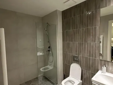 Izdavanje, dvosoban stan, 55m², Savski Venac, Beograd - image 3