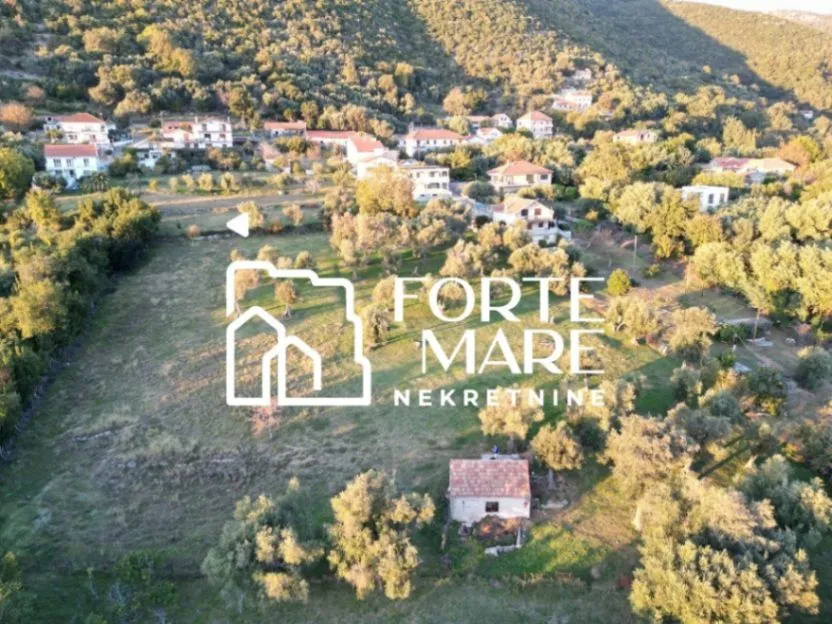 Prodaja, plac, 7560m², Đenovići, Herceg Novi