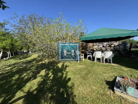 Sale, house, 39m², Crnče, Jagodina - image 8