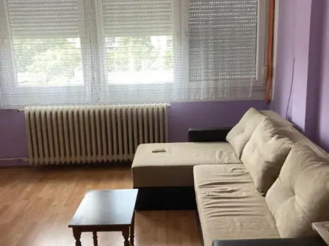 Rent, studio apartment, 21m², Liman 2, Novi Sad Sve Podlokacije