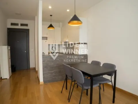 Izdavanje, dvosoban stan, 50m², Voždovac Sve Podlokacije, Beograd - image 4