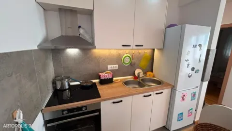 Sale, two bedroom apartment, 57m², Zvezdara Sve Podlokacije, Beograd - image 9